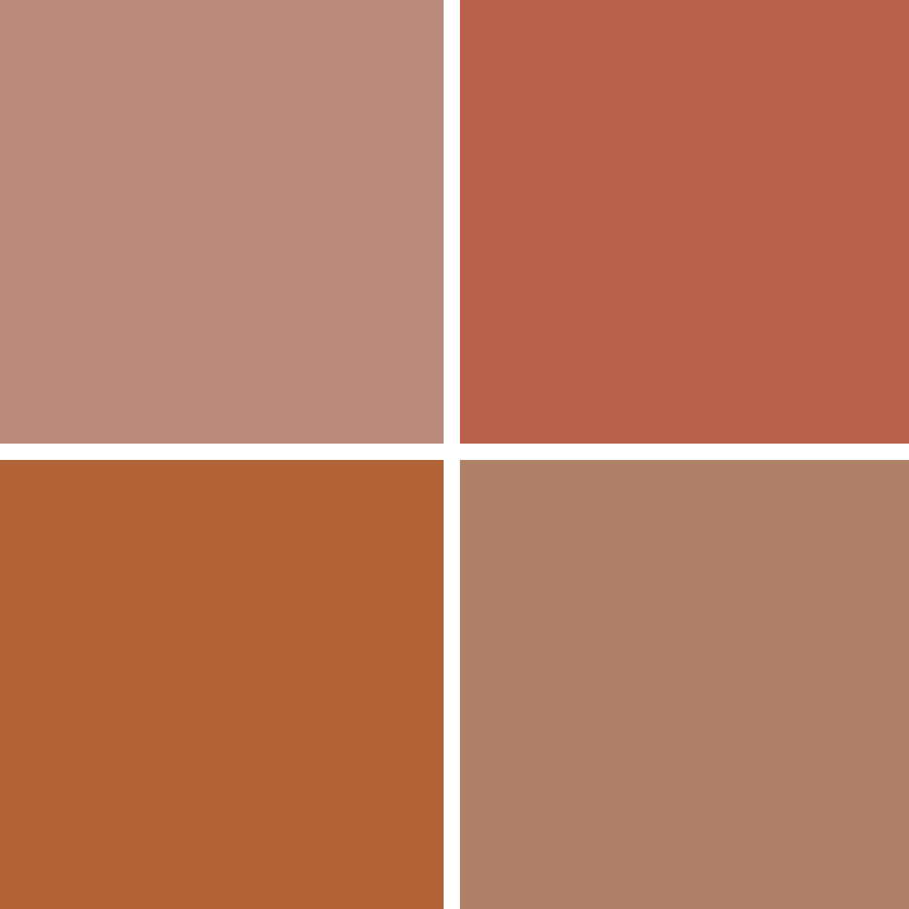 c84211b8822e-COULEURS-PEINTURE-TERRACOTTA-TOLLENS-HAUTE-QUALITE-PROFESSIONNELLE.jpg