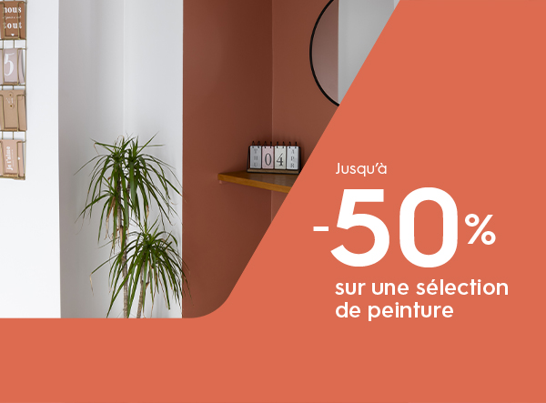 Promotion peinture Tollens
