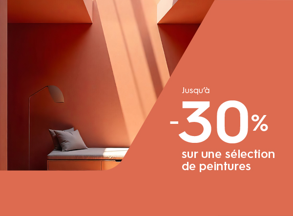 Promotion peinture Tollens