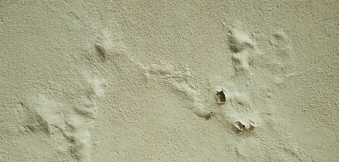 Comment lutter contre une peinture qui cloque ? Tollens