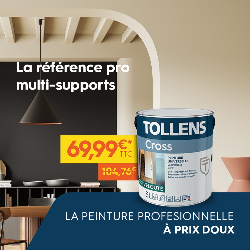 Promotion peinture universelle Tollens Cross