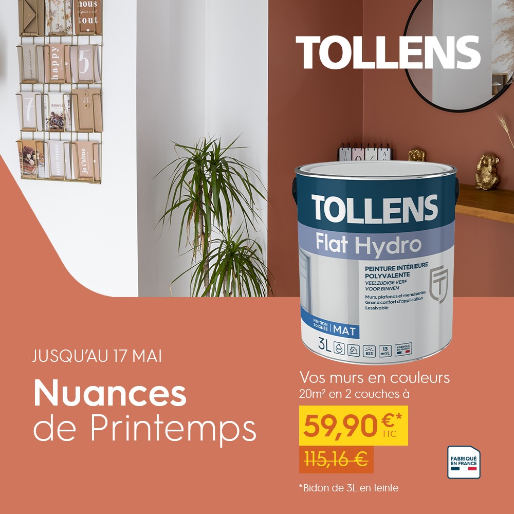 Promotion peinture Tollens peinture colorée peinture terracotta pas chère