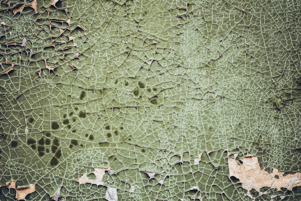 Inspiration d'une nature abimée par le temps pour la tendance Wabi Sabi Tollens