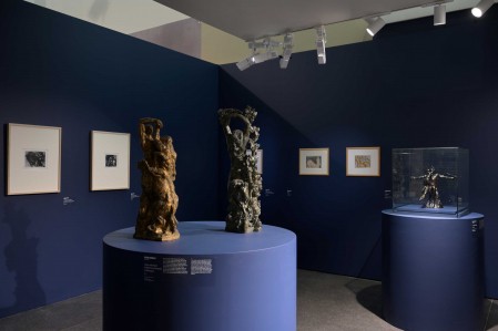 Photo de l'exposition Rodin Bourdelle - Corps à Corps réalisée avec de la peinture Tollens