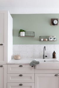 Buanderie peinture vert lierre séché TOLLENS, épurée