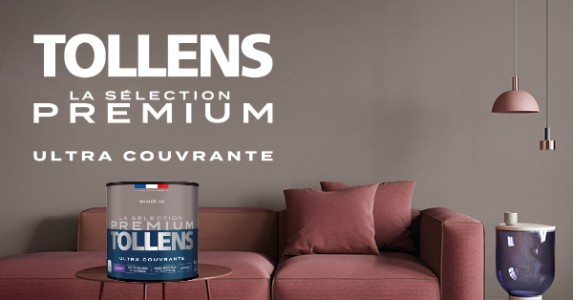 Peinture brun pas cher qualit&eacute; pro couvrante TOLLENS