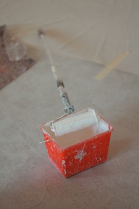 Manchon Télescopique dans bac de peinture blanche - Tollens