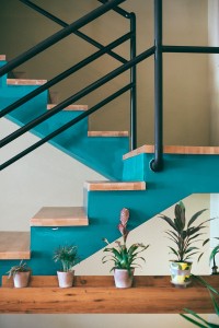 Idée de peinture pour escalier en bois avec les contremarche en bleu pour une ambiance colorée et audacieuse, décoré avec des plantes - Tollens