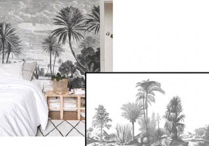 Papier peint panoramique, Oasis et Aloes grey, chambre, site Tollens