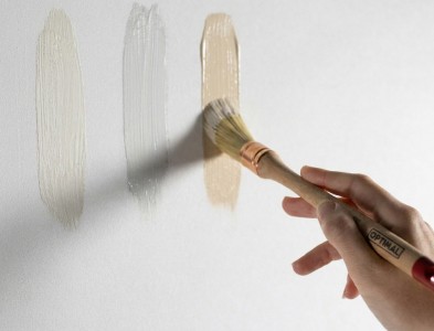 Echantillon couleur de peinture blanche TOLLENS, pot testeur peinture blanche TOLLENS, pot testeur couleurs blancs nuancier CROMOLOGY, pot testeur couleurs nuancier blancs TOLLENS
