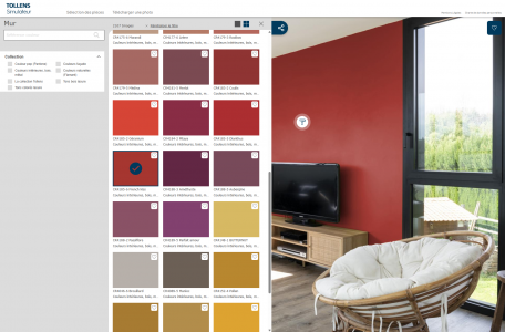 Capture écran Simulateur de Couleurs Tollens en ligne