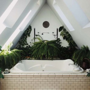Salle de bain aménagée en jardin d'hiver