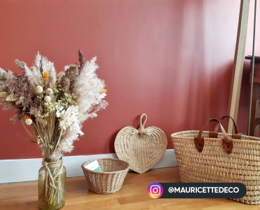 Intérieur de l'instagrameuse @Mauricettedeco en peinture Tollens terracotta dans son salon