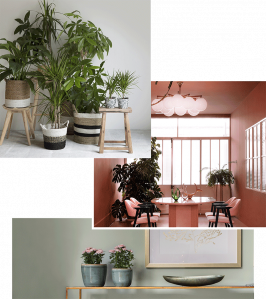 Moodboard visuels déco peinture Tollens et Flamant, Tendance Nature Bohème, teintes : Cotton Grey, Poterie et Marais