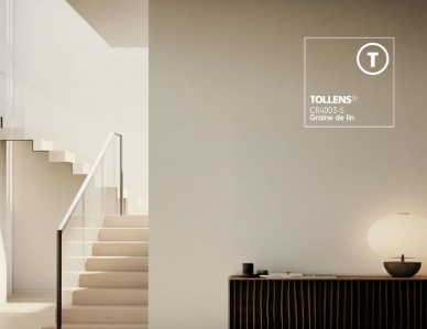 Peinture blanche, couleur peinture blanc color&eacute; Tollens, couleur blanc Graine de lin Tollens