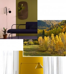 Moodboard été indien, jaune, vert, couleurs naturel automne, inspiration Tollens