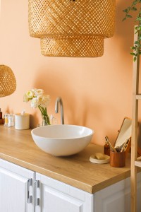 Couleur de l'année Pantone 2024 par Tollens : Peach Fuzz, un ton pêche doux, peinture orange clair pour salle de bain