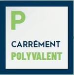 Picto Crylo, peinture carrément polyvalente