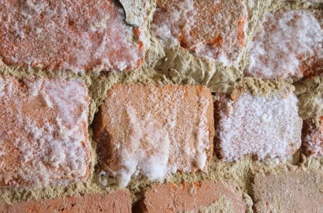 Salpêtre sur un mur de brique à cause de l'humidité