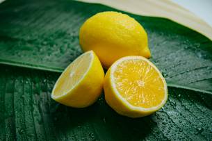 citron, moins d'odeur de peinture, fraicheur, pi&egrave;ce, peinture tollens