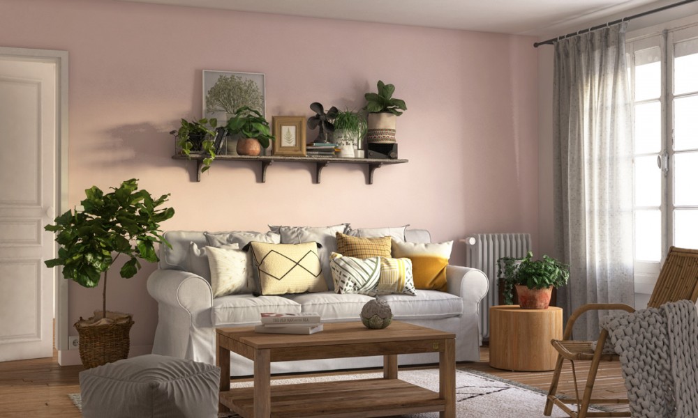 Salon rose très pale, rose tutu Tollens