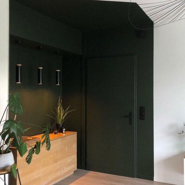Plafond peint en vert foncé pour délimiter un espace